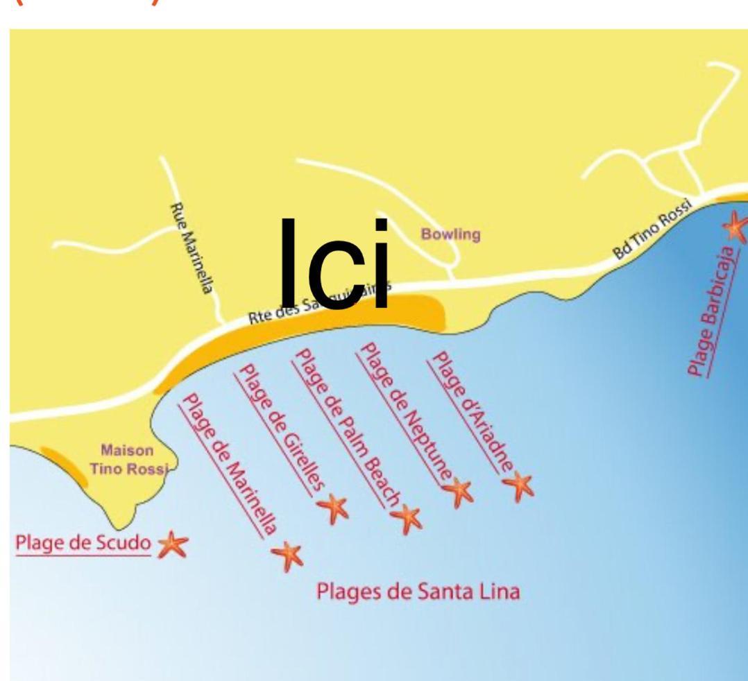 Superbe Pieds Dans L Eau Ajaccio Face A La Mer Plage De Sable Fin Route Des Iles Des Sanguinaires Extérieur photo